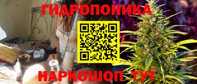 шишки Чебоксары